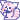 silly bunny